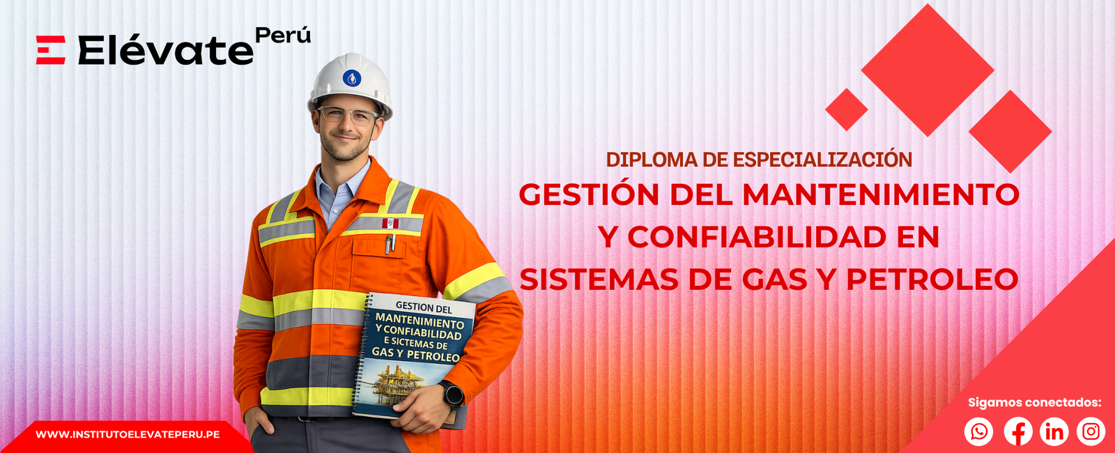 GESTIÓN DEL MANTENIMIENTO Y CONFIABILIDAD EN SISTEMAS DE GAS Y PETROLEO