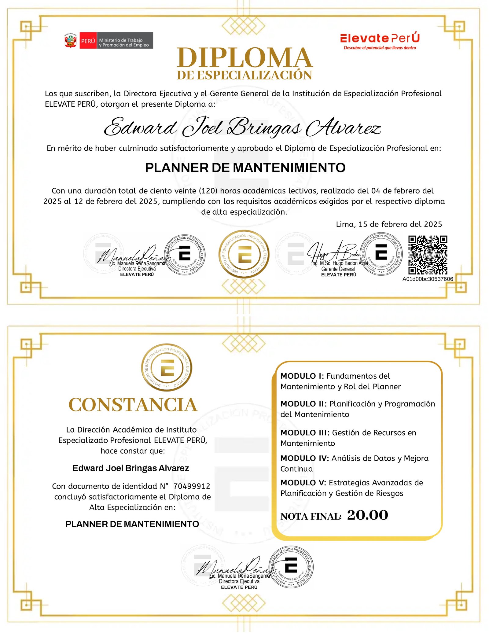 DIPLOMA DE ESPECIALIZACIÓN PROFESIONAL PLANNER DE MANTENIMIENTO